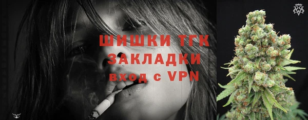 ПСИЛОЦИБИНОВЫЕ ГРИБЫ Дмитриев