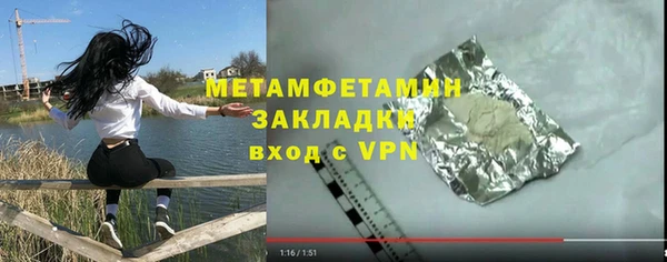 ПСИЛОЦИБИНОВЫЕ ГРИБЫ Дмитриев