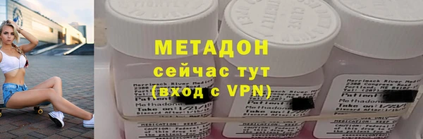 ПСИЛОЦИБИНОВЫЕ ГРИБЫ Дмитриев