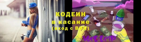 ПСИЛОЦИБИНОВЫЕ ГРИБЫ Дмитриев