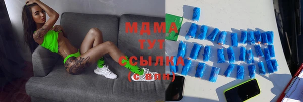 ПСИЛОЦИБИНОВЫЕ ГРИБЫ Дмитриев