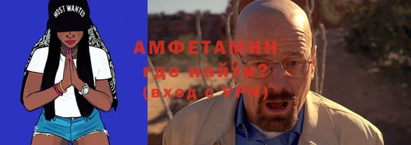 ПСИЛОЦИБИНОВЫЕ ГРИБЫ Дмитриев