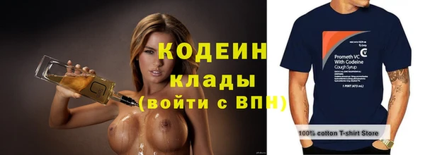ПСИЛОЦИБИНОВЫЕ ГРИБЫ Дмитриев