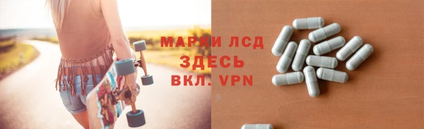 ПСИЛОЦИБИНОВЫЕ ГРИБЫ Дмитриев