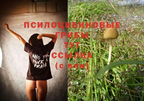 спиды Дмитров