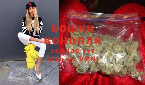 ПСИЛОЦИБИНОВЫЕ ГРИБЫ Дмитриев