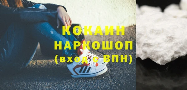 ПСИЛОЦИБИНОВЫЕ ГРИБЫ Дмитриев