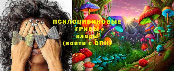 ПСИЛОЦИБИНОВЫЕ ГРИБЫ Дмитриев